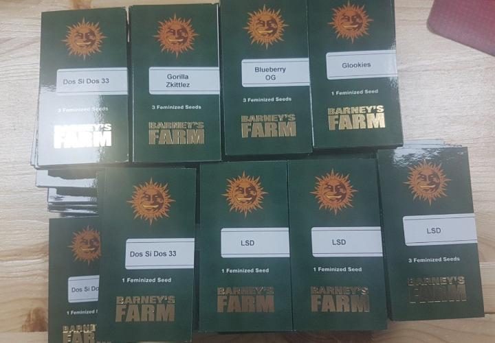 barney farms seeds promo codes
