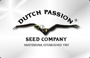 Новые сорта, миксы и фасовки от  Dutch Passion