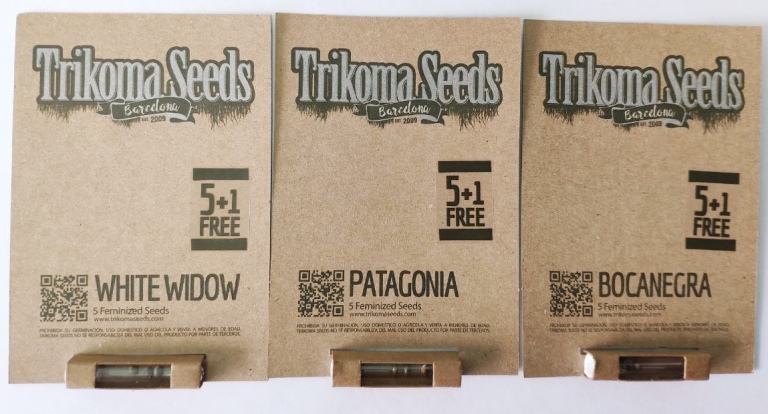 Время пробовать новый банк ﻿ Trikoma Seeds﻿
