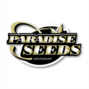Большое пополнение Paradise Seeds