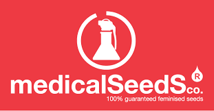 - 25 % на Medical seeds 
