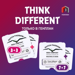 "Think Different" от Dutch Passion  7+7