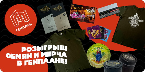 Генплан дарит подарки!