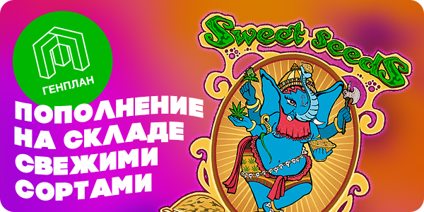 ЕЩЕ! Свежатина от Sweet Seeds!